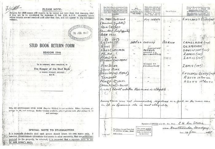 1946 Mare Return Form