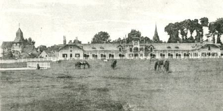 Haras de Meautry 