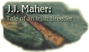 Maher logo