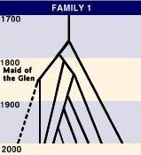 Family 1 Pedigree Tree