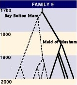 Family 9 Pedigree Tree