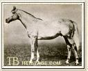 Roi Herode