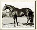 War Admiral