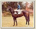 Fair Salinia