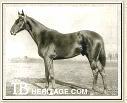 Man O' War