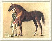 Whistlejacket