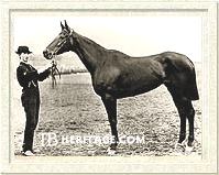Miss Woodford