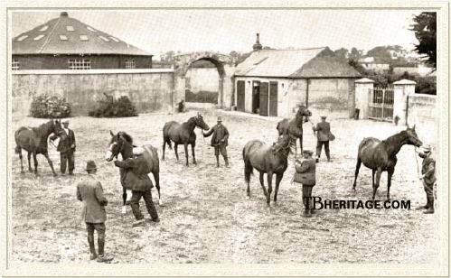 Dams of Derby winners