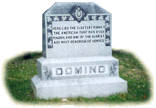 Domino's Grave