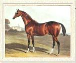 Sultan