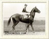 Man o' War