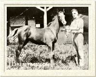 Man o' War