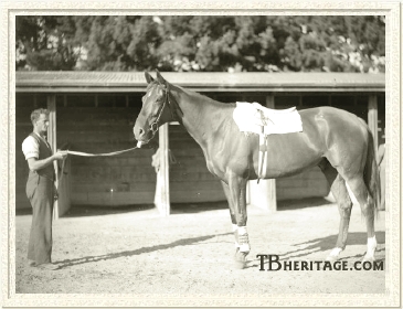 Phar Lap