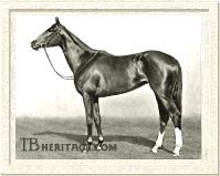 Fifinella