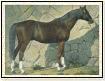 Salvator