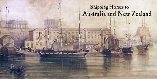 Shipping Army Horses to India