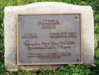 Althea