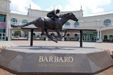 Barbaro