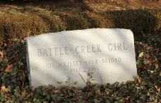 Battle Creek Girl