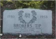 Brokers Tip