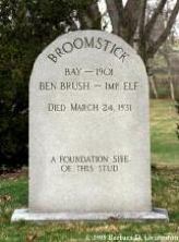 Broomstick's grave