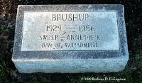 Brushup's marker