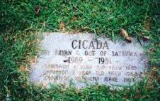 Cicada's marker