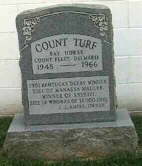 Count Turf