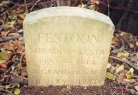 Festoon 