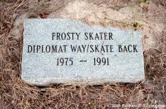 Frosty Skater