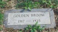 Golden Broom