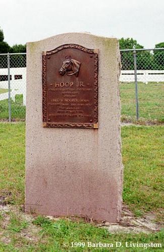 Hoop Jr.'s marker