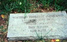 Yearling's marker