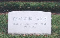 Charming Lassie
