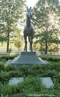 Man o' War with sons at foot