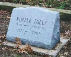 Nimble Folly