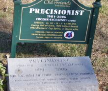 Precisionist's grave