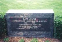 Raise a Native's marker