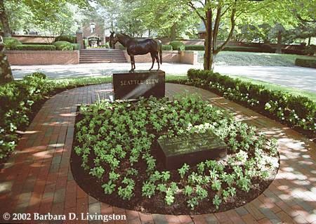 Seattle Slew's grave