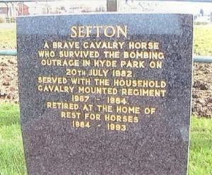 Sefton marker