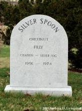 Silver Spoon's grave