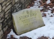 Storm Bird's grave