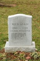 Wild Again's grave