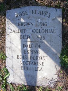 Rose Leaves' grave