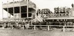 Fairyhouse Stands