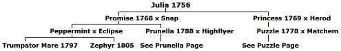 Julia descent chart