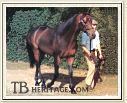 Brigadier Gerard