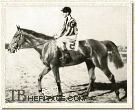 Bushranger