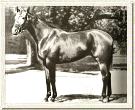 Cottesmore
