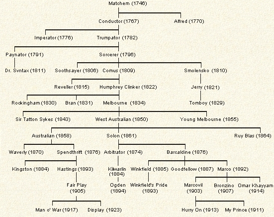 Matchem sire line